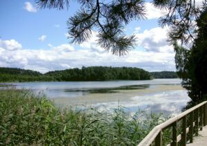 Sjö i sommarmiljö med växtlighet.