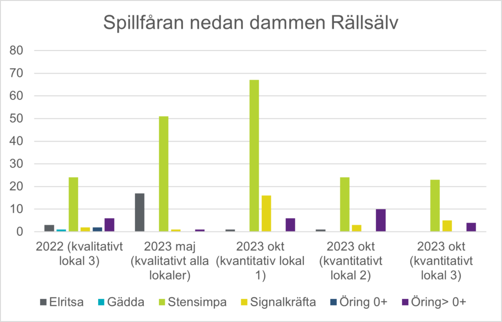 Ett stapeldiagram som visar hur resultatet av elfiske sett ut i Rällsälv under 2022 och 2023. 