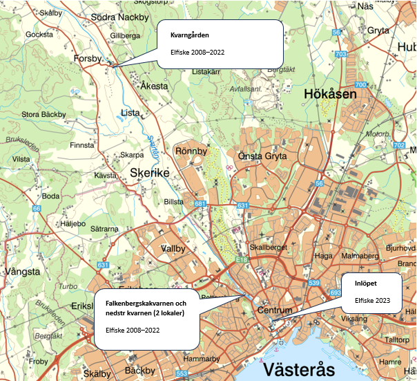 En karta som visar Svartån och de olika platser där elfiske har skett och som beskrivs i rapporten: Kvarngården, Falkenbergska kvarnen och Inlöpet. 