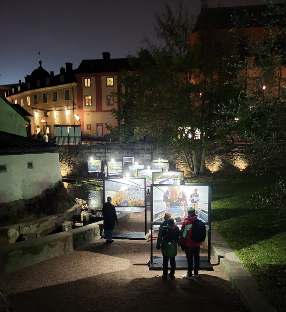 En upplyst utställning utomhus, det är mörkt runt omkring och flera personers syns titta på utställningen.